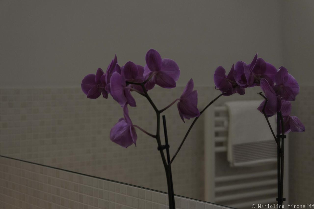 I Balconi Sul Castello Bed & Breakfast คาตาเนีย ภายนอก รูปภาพ